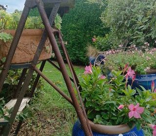  Maison � vendre 10 pi�ces 252 m�