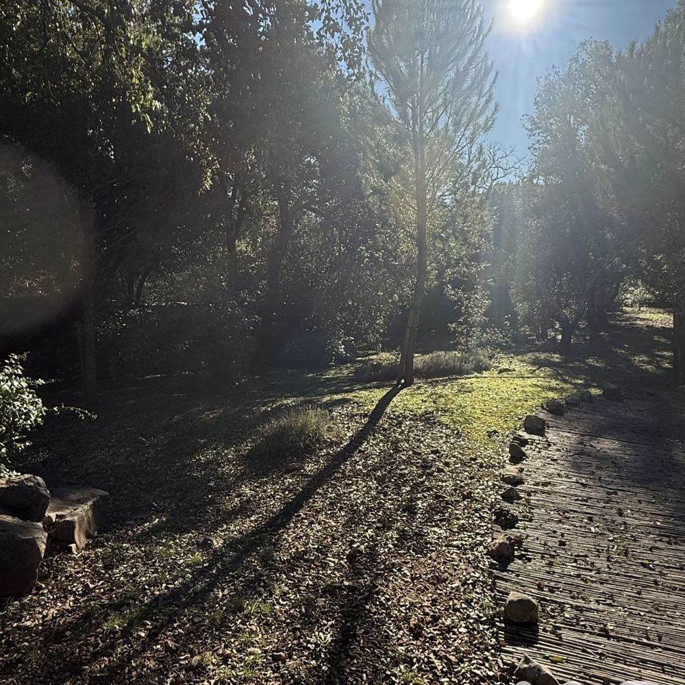 � vendre  Maison Flassans-sur-Issole (83340)