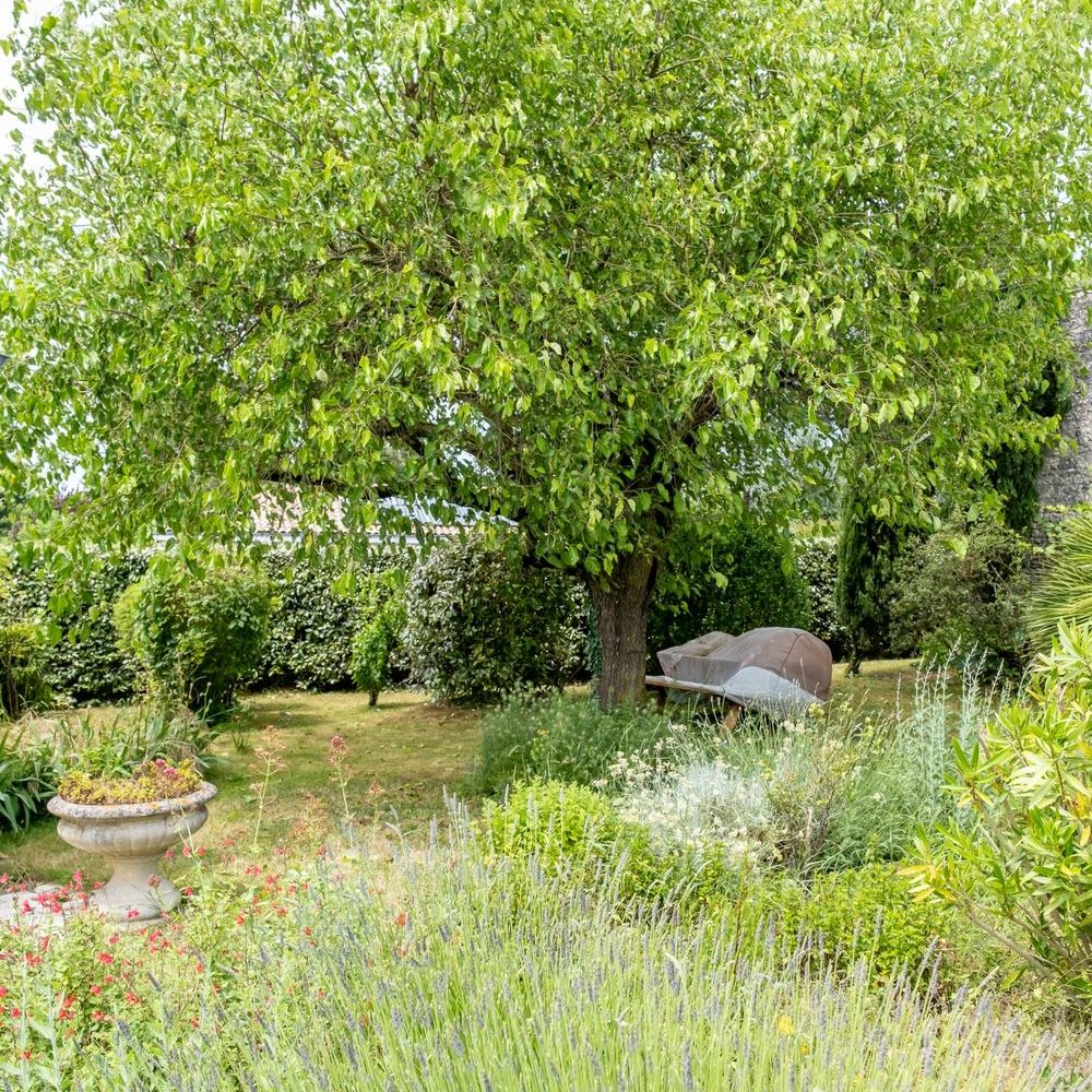 � vendre  Maison La Rochelle (17000)