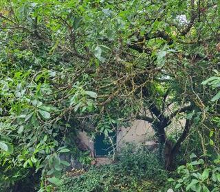  Maison � vendre 5 pi�ces 91 m�