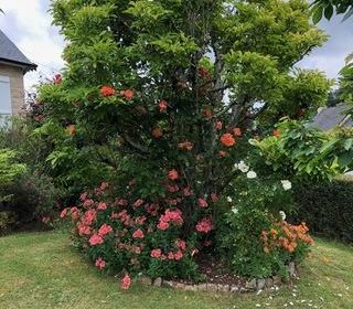  Maison � vendre 7 pi�ces 140 m�