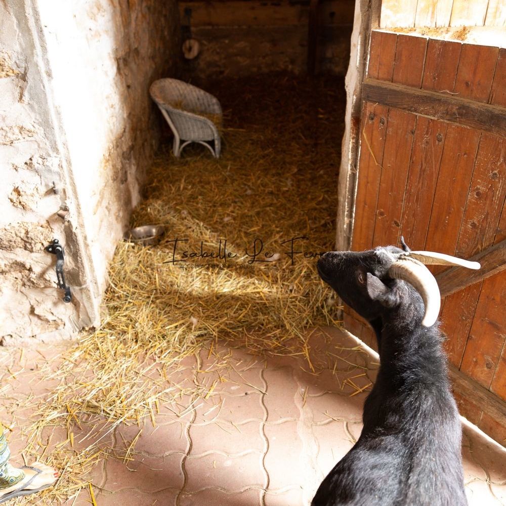 � vendre  Maison Mennecy (91540)