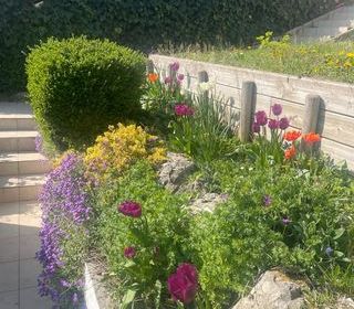  Maison � vendre 3 pi�ces 60 m�