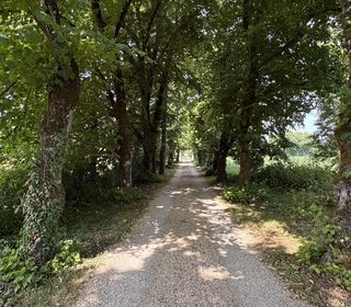  Maison � vendre 15 + pi�ces 590 m�