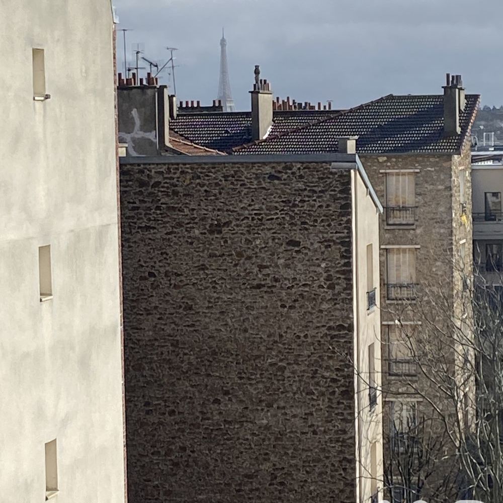 � vendre  Appartement Suresnes (92150)