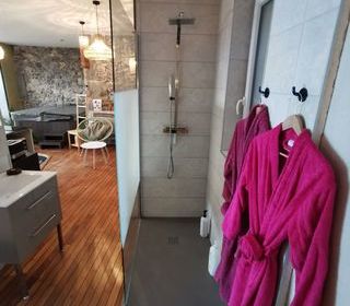  Loft � vendre 2 pi�ces 51 m�