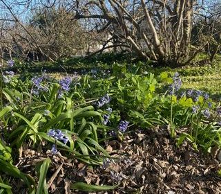  Terrain � vendre 430 m�