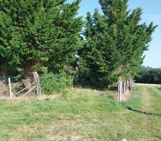  Terrain � vendre 3300 m�