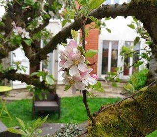  Maison � vendre 8 pi�ces 185 m�