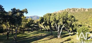  Maison � vendre 7 pi�ces 250 m�