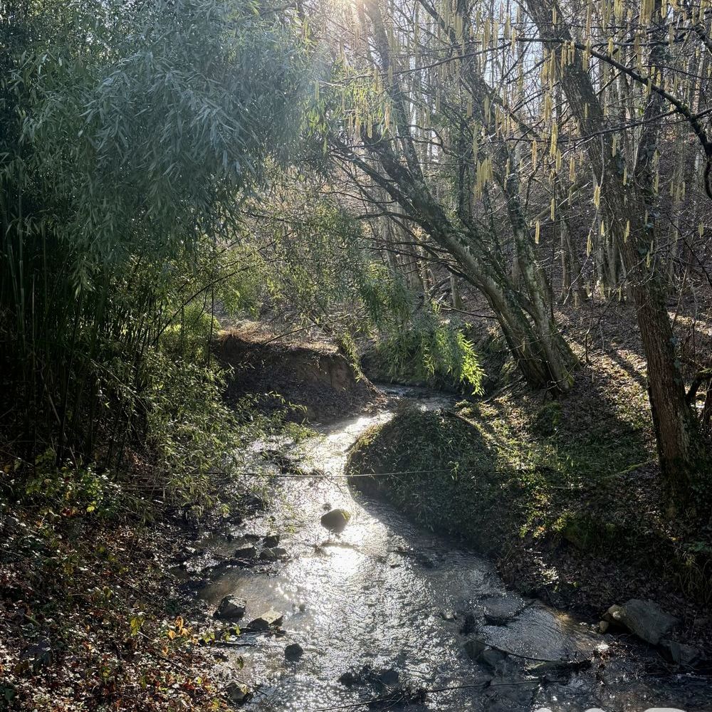 � vendre  Maison Orli�nas (69530)