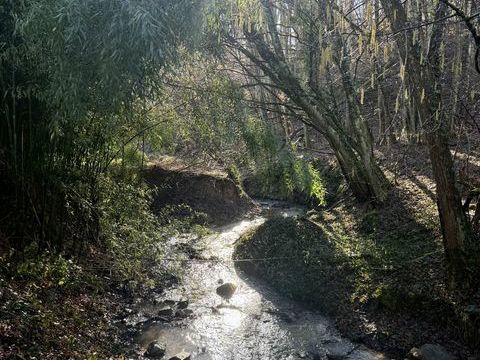   Vente Maison/villa 5 pi�ces Maison - 5 pi�ce(s) - 137 m�