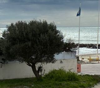  Appartement � vendre 1 pi�ce 23 m�