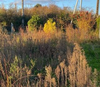  Terrain � vendre 812 m�