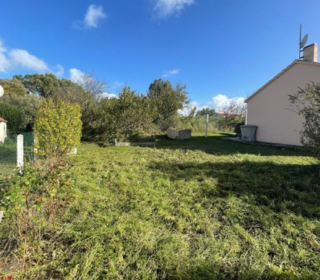  Terrain � vendre 247 m�
