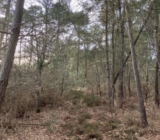  Terrain � vendre 5213 m�