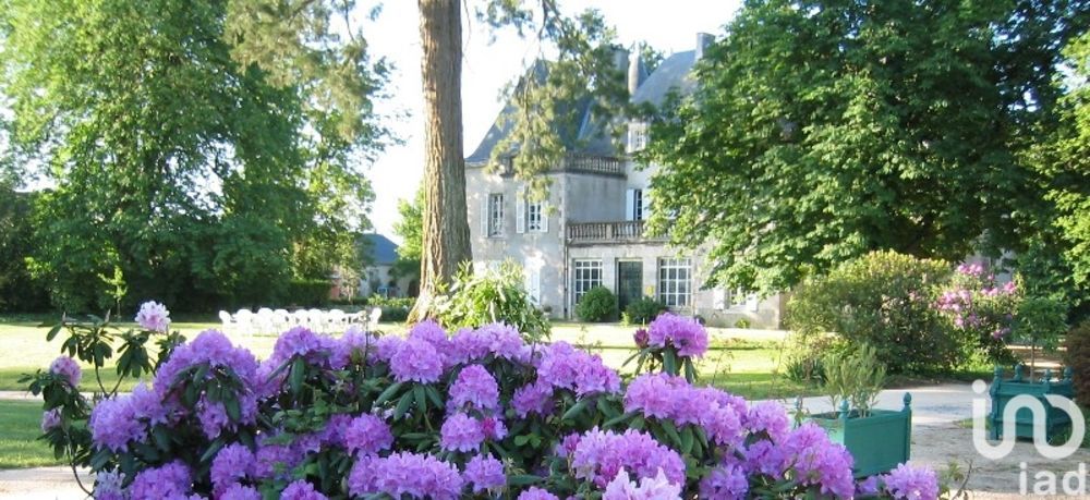 � vendre  Propri�t�/ch�teau Saint-Denis-la-Chevasse (85170)