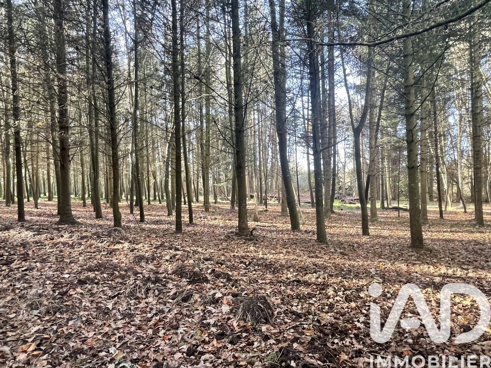 � vendre  Maison Tr�drez-Locqu�meau (22300)