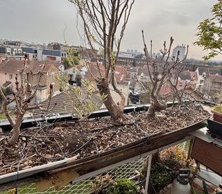  Appartement � vendre 3 pi�ces 57 m�