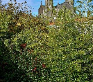  Maison � vendre 5 pi�ces 119 m�