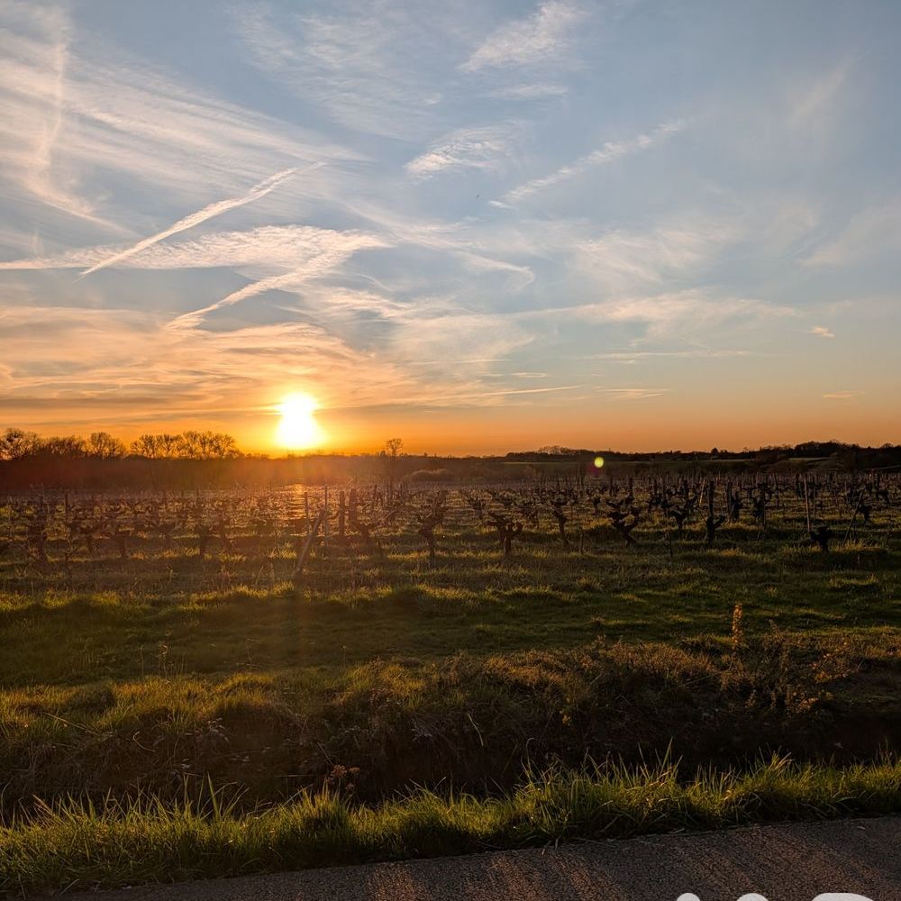 � vendre  Maison Vertou (44120)