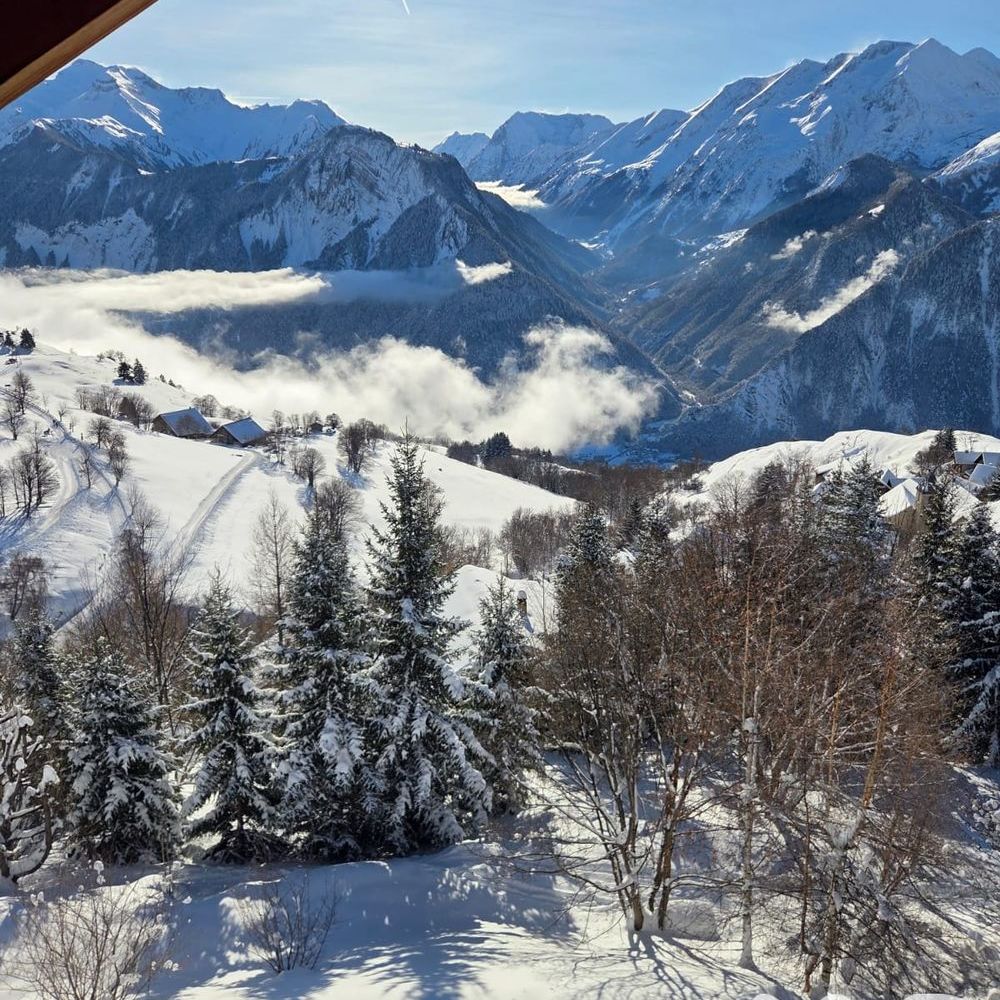 � vendre  Appartement Villard-Reculas (38114)