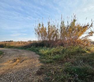  Terrain � vendre 11946 m�