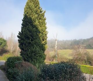  Appartement � vendre 3 pi�ces 68 m�