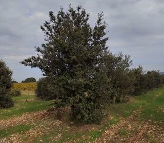  Terrain � vendre 5708 m�