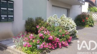  Appartement � vendre 2 pi�ces 41 m�