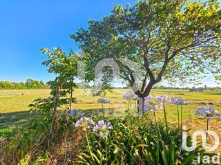  Maison � vendre 10 pi�ces 252 m�