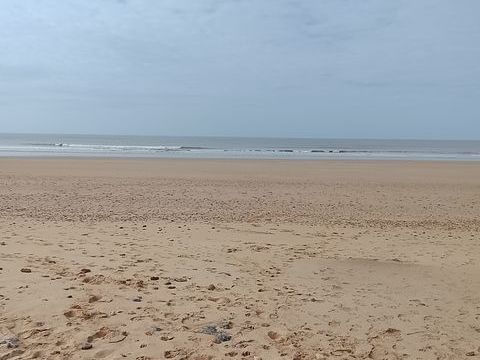   Vente Appartement 3 pi�ces Appartement - 3 pi�ce(s) - 45 m�