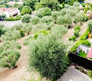  Appartement � vendre 3 pi�ces 80 m�