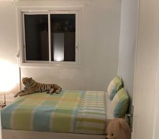  Appartement � vendre 4 pi�ces 80 m�