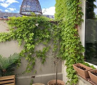  Appartement � vendre 3 pi�ces 71 m�