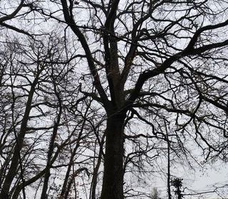  Terrain � vendre 29105 m�