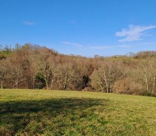  Terrain � vendre 97607 m�