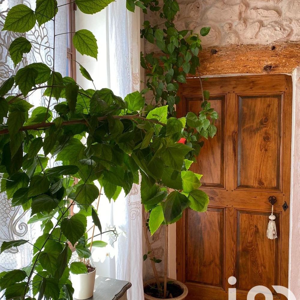 � vendre  Maison Le Cannet-des-Maures (83340)