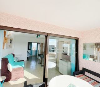  Appartement � vendre 2 pi�ces 30 m�