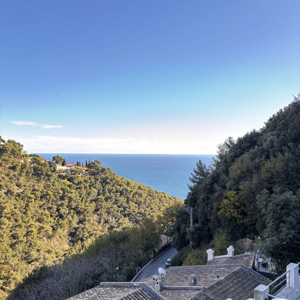 � vendre  Maison Roquebrune-Cap-Martin (06190)