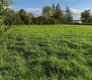  Terrain � vendre 4300 m�