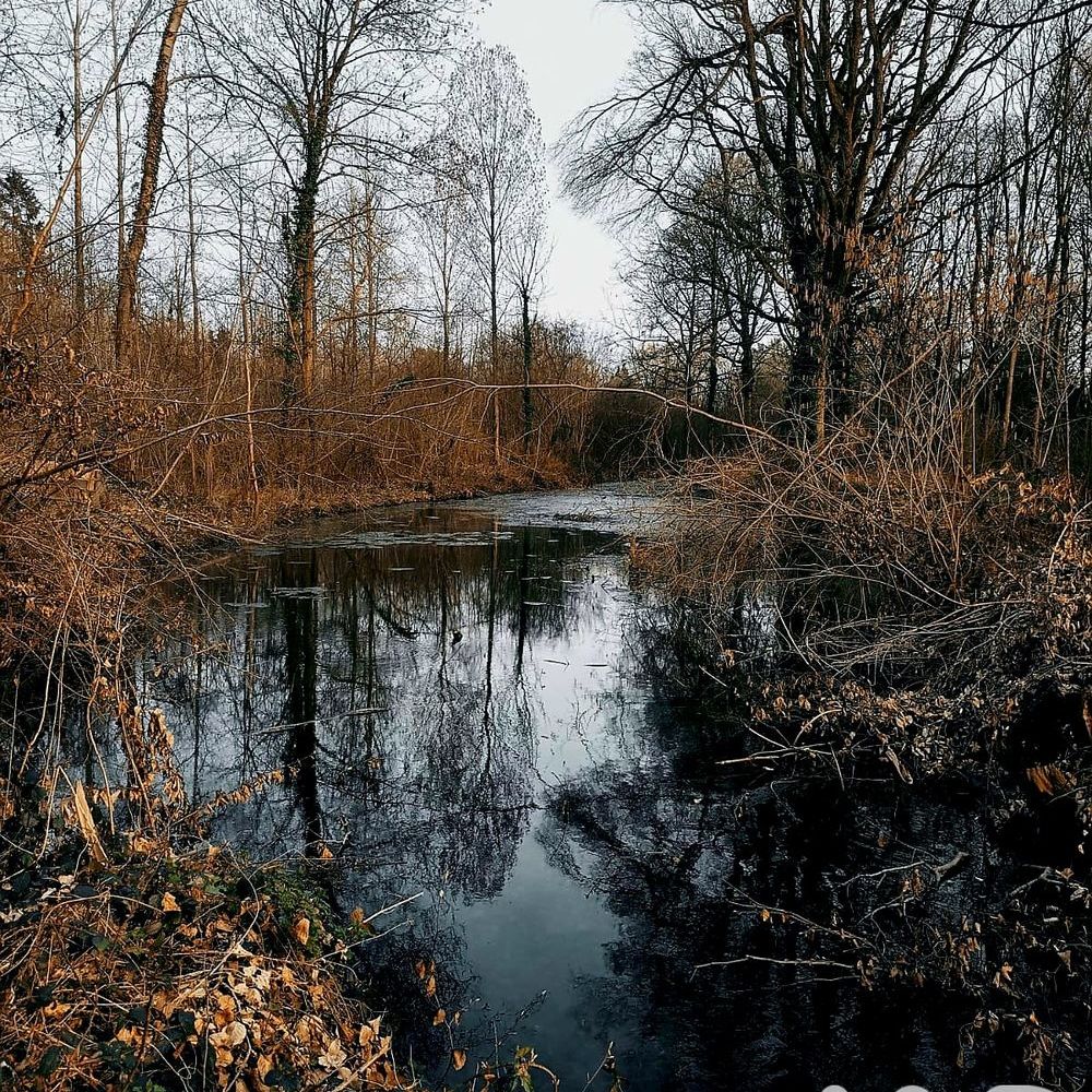 � vendre  Maison Lecelles (59226)