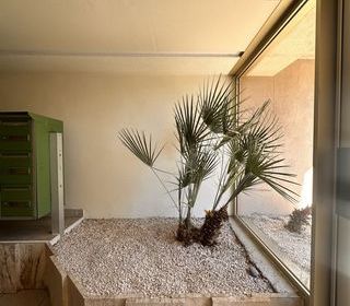  Appartement � vendre 2 pi�ces 30 m�