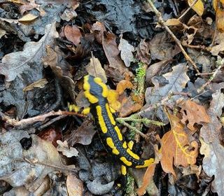  Terrain � vendre 3340 m�