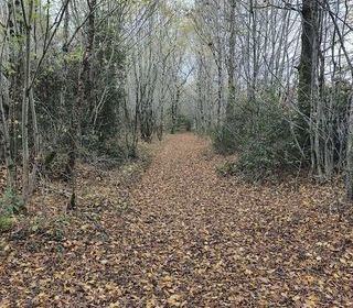  Terrain � vendre 405918 m�