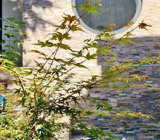  Maison � vendre 9 pi�ces 205 m�