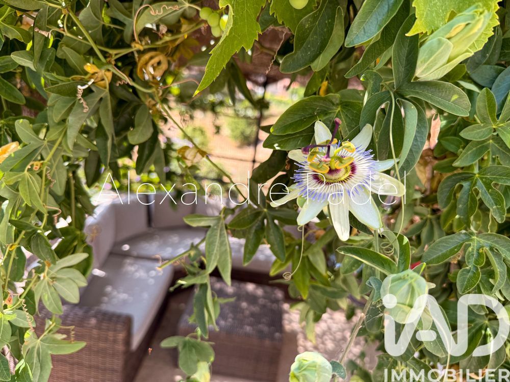 � vendre  Maison Carqueiranne (83320)