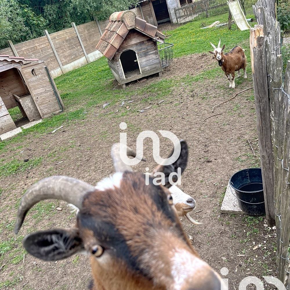 � vendre  Maison Bournonville (62240)