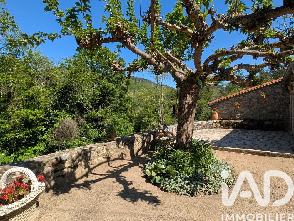 � vendre  Maison Saint-Laurent-de-Cerdans (66260)