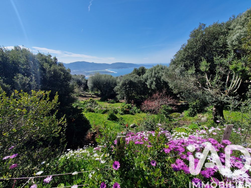 � vendre  Maison Olmeto (20113)